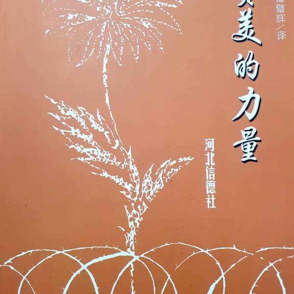 赞美的力量