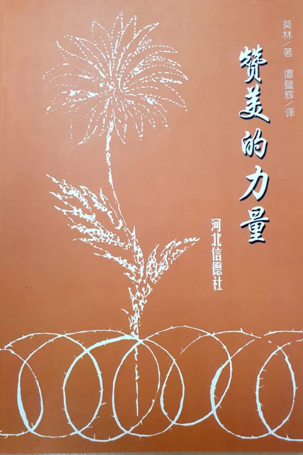 赞美的力量