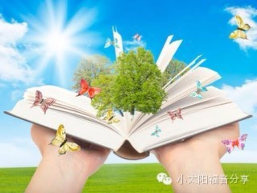 Chinese Book (中文书籍）
