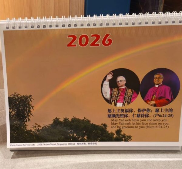 2026 Carlo bilingual Desk Calendar / 2026 双语桌历